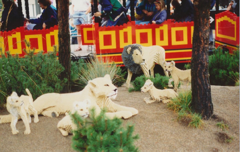 Image57