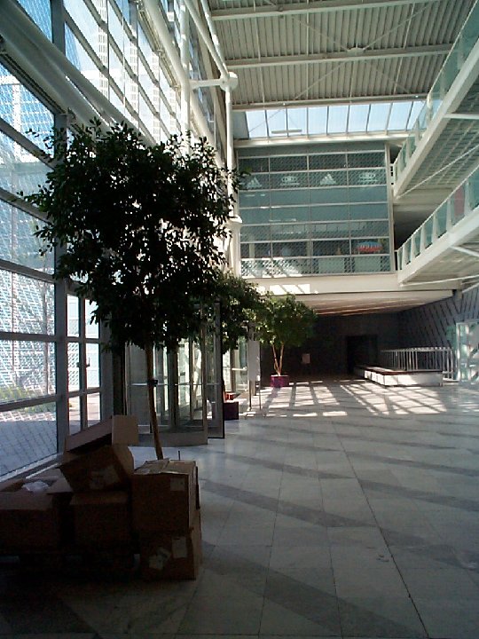 DCP00420