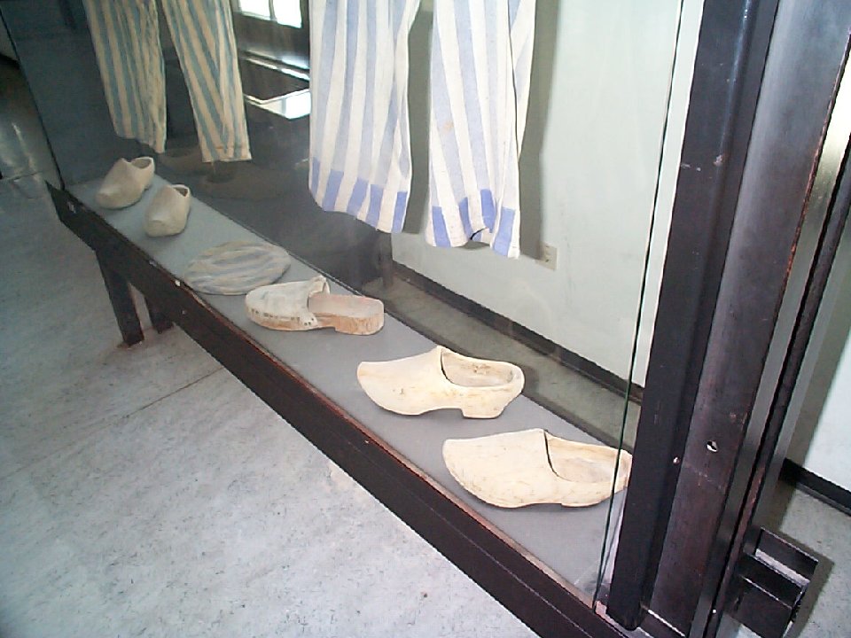 DCP00449