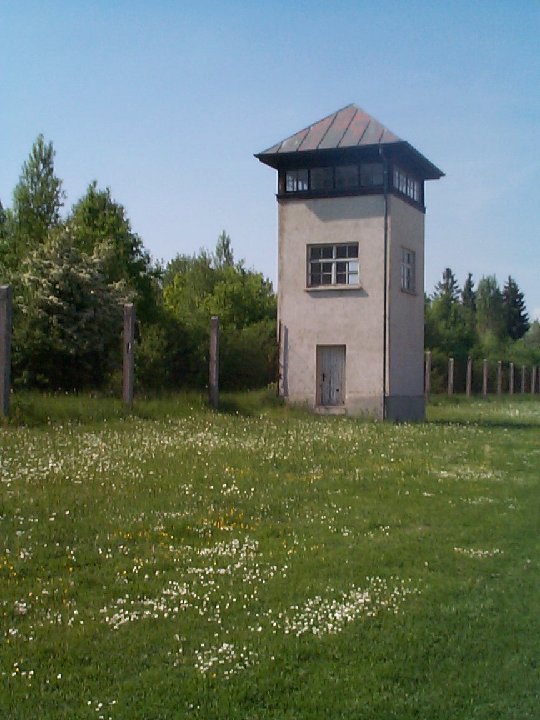 DCP00466