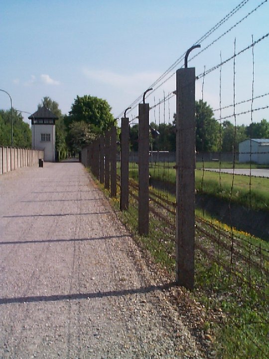 DCP00503