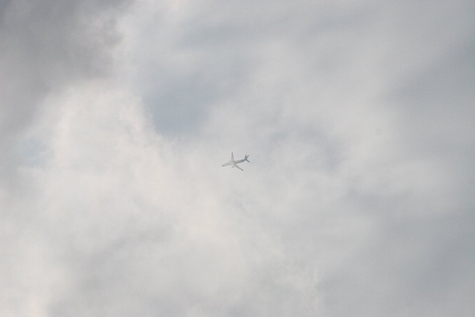 IMG 0975