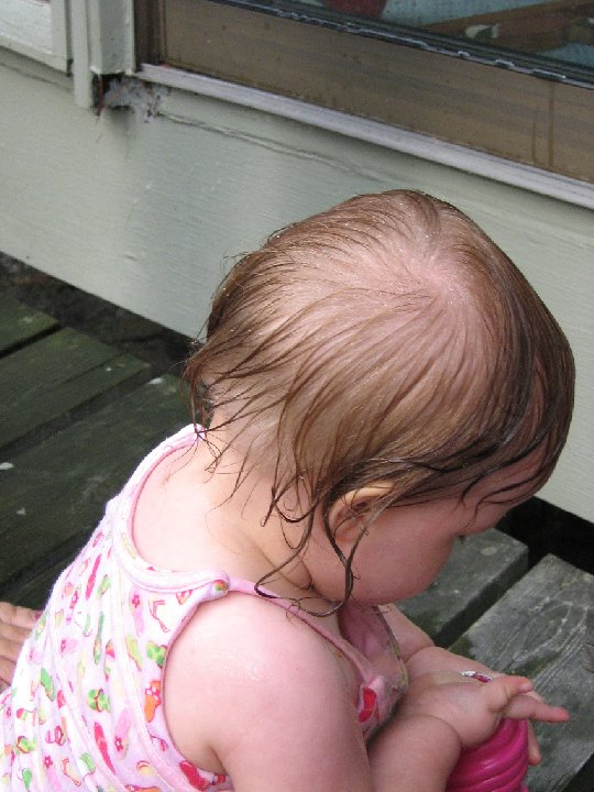 IMG 0379
