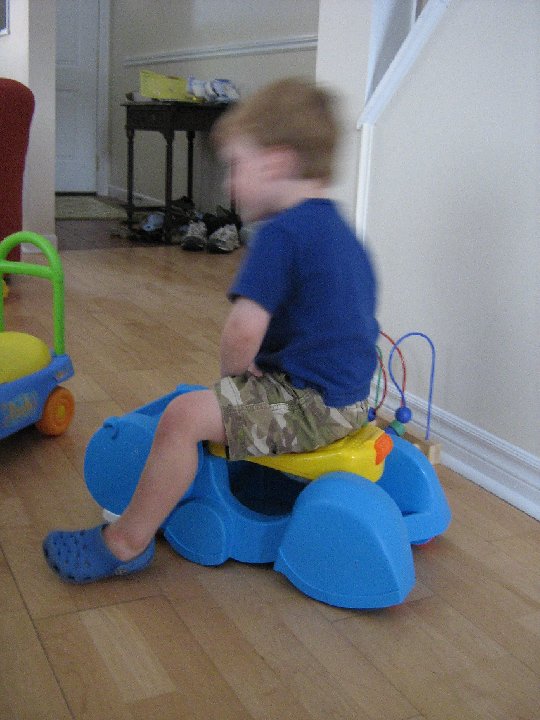 IMG 0460