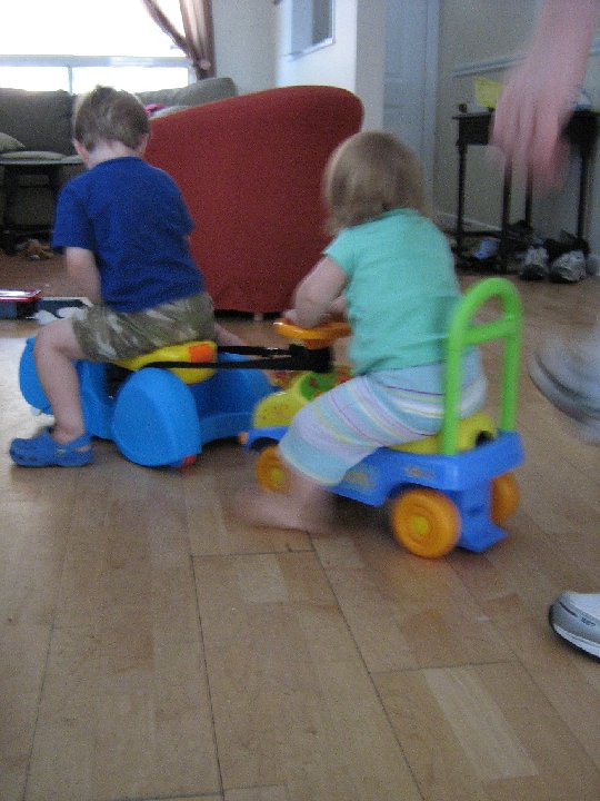 IMG 0461