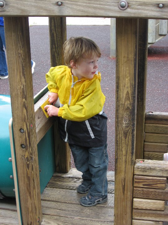 IMG 0536