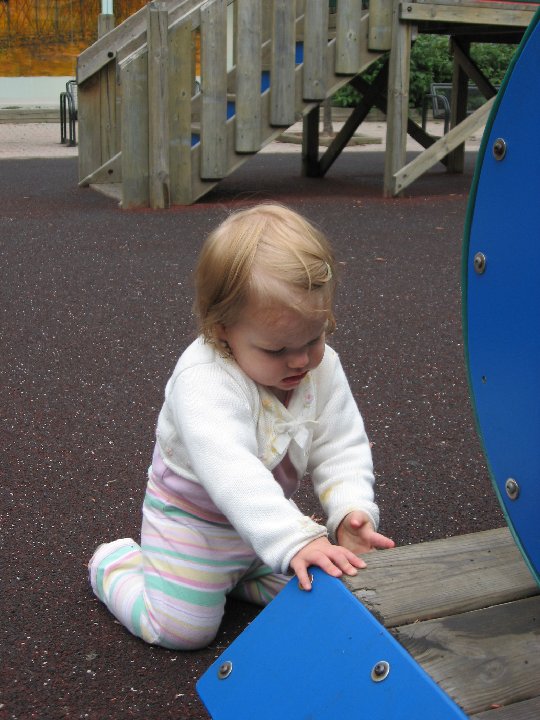 IMG 0585