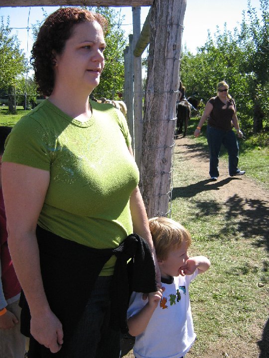 IMG 0998