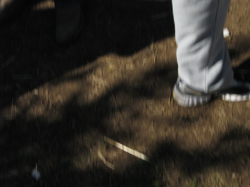 IMG 1005