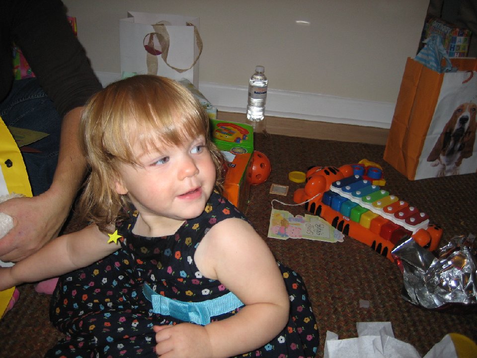 IMG 0449