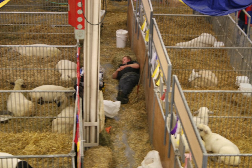 IMG 2519