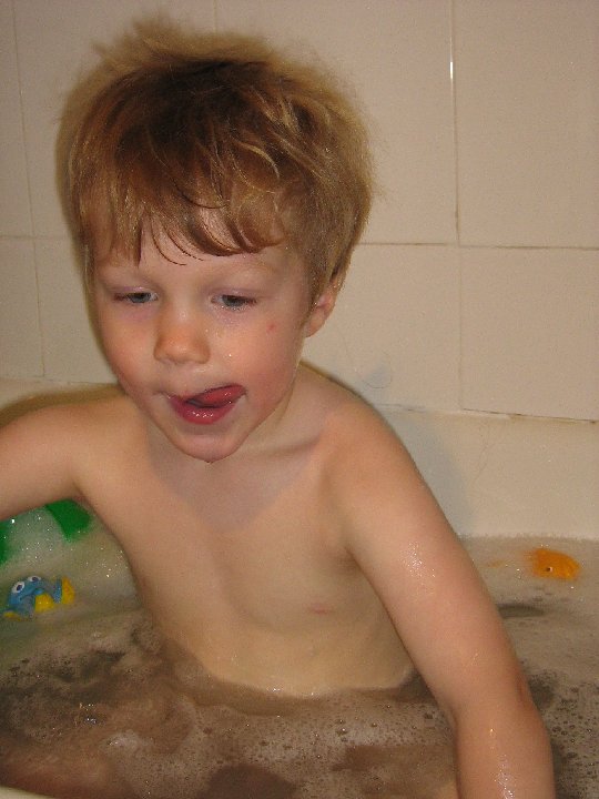 IMG 1548