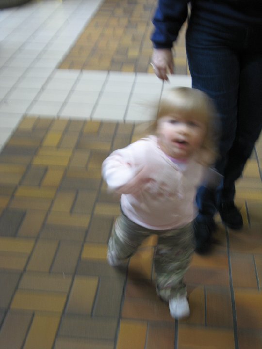 IMG 0216