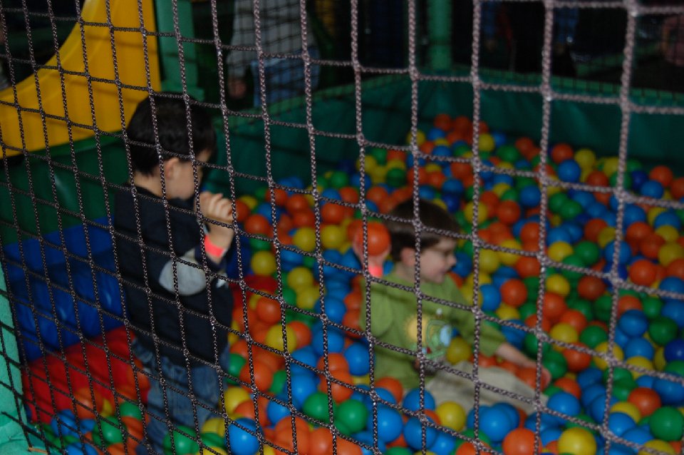 DSC 0103