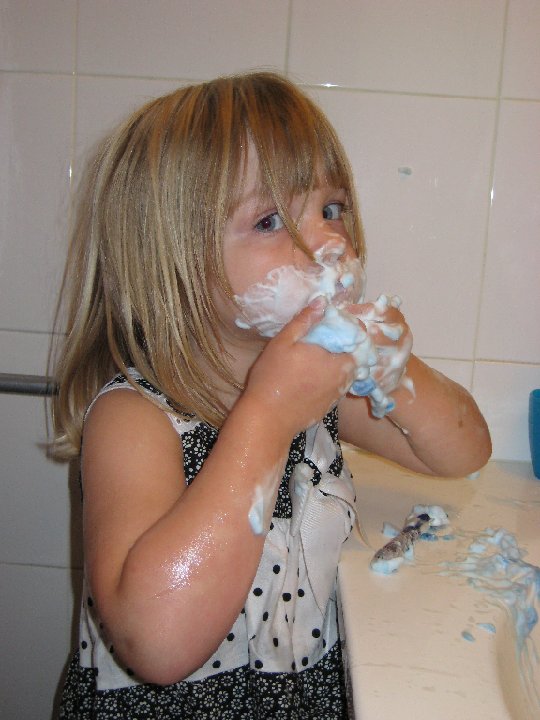 IMG 0957