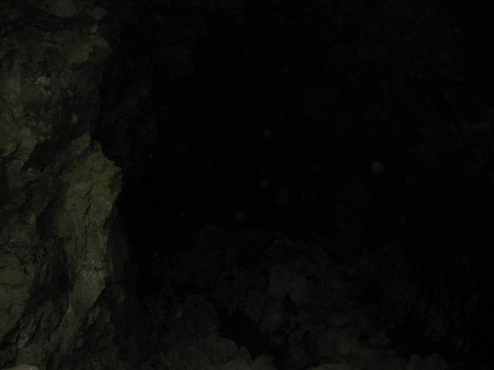 IMG 0975