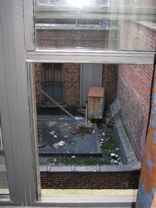 IMG 1317