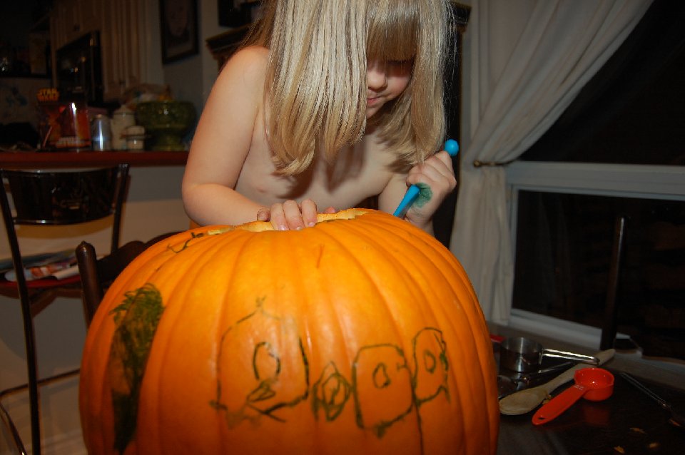 DSC 1105