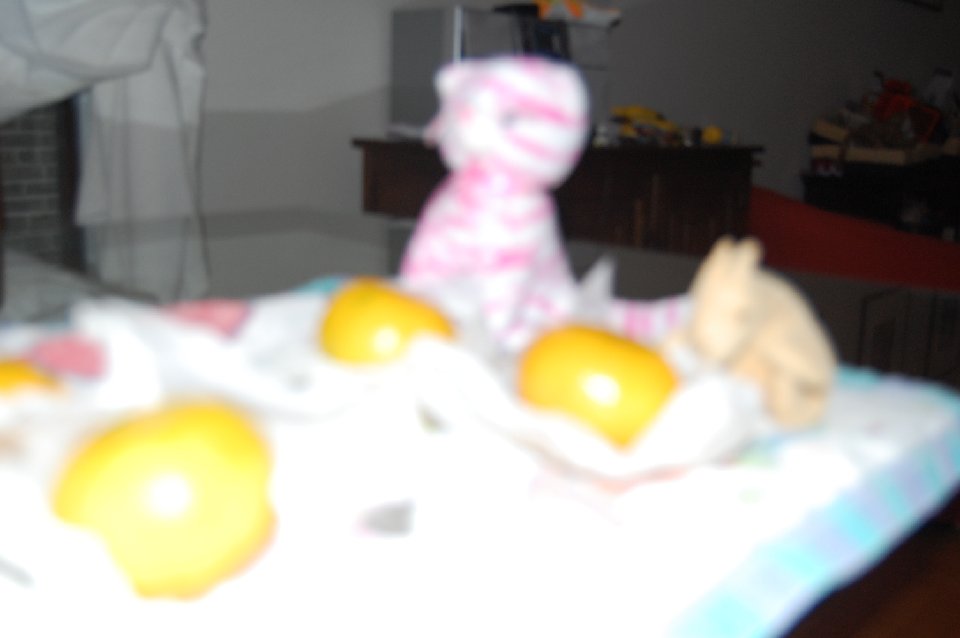 DSC 0032