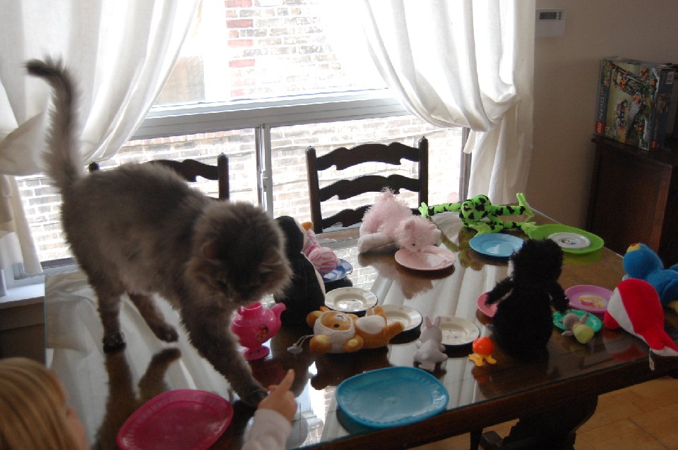 DSC 0069