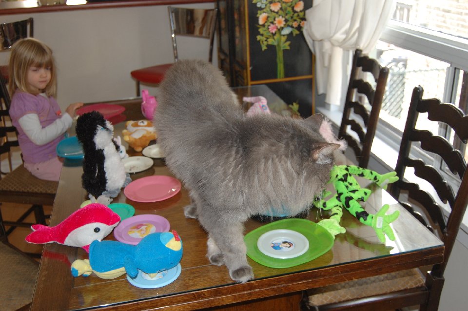 DSC 0077