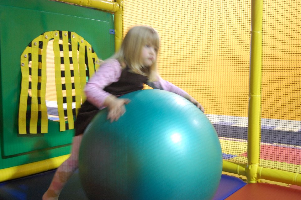 DSC 0226