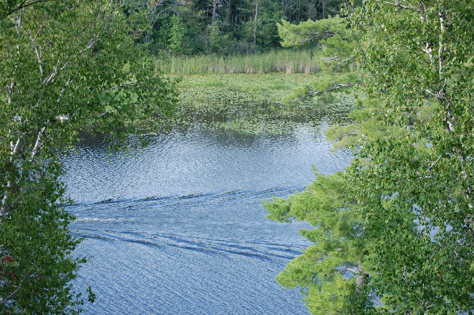 DSC 0402