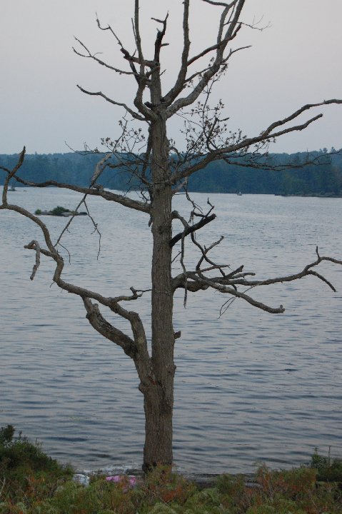 DSC 0024