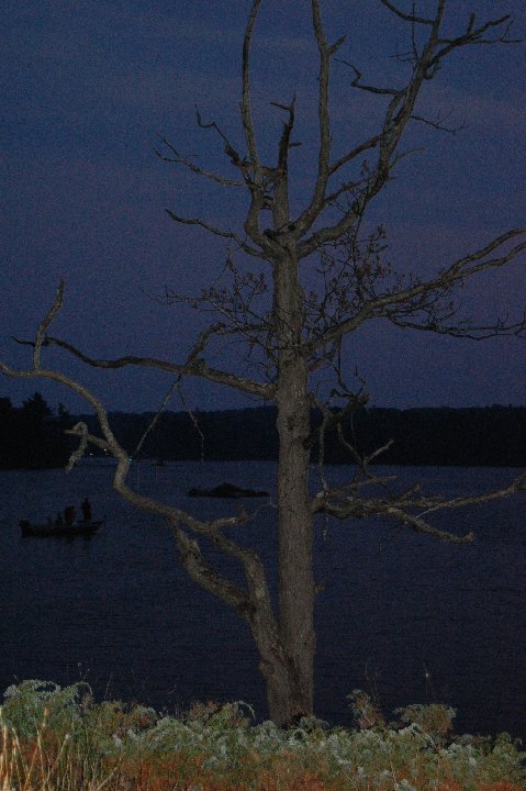 DSC 0041