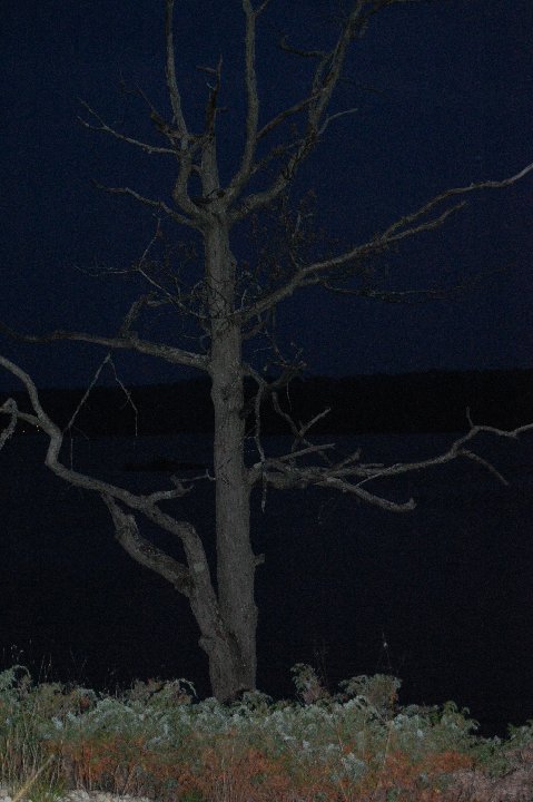 DSC 0047