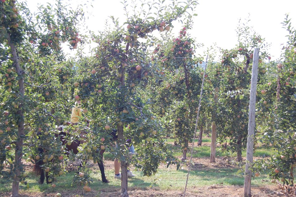 DSC 0385