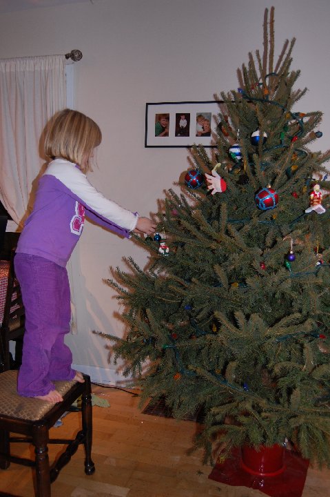 DSC 0712