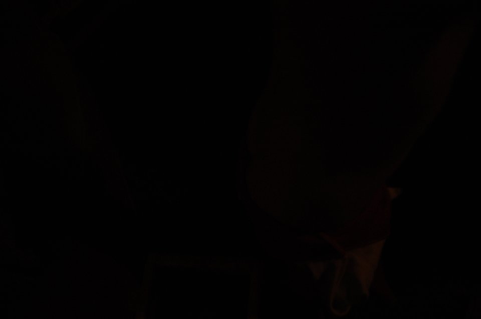 DSC 0762