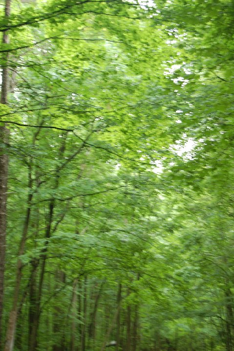 DSC 0941