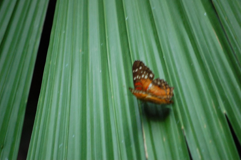 DSC 0476