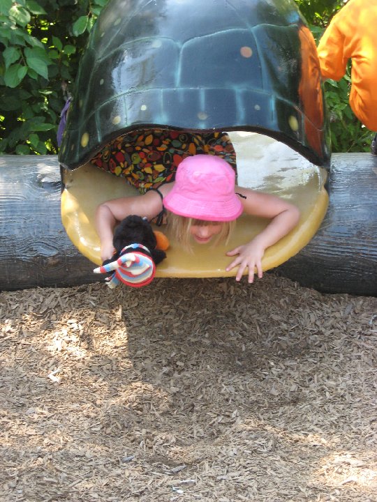 IMG 2411