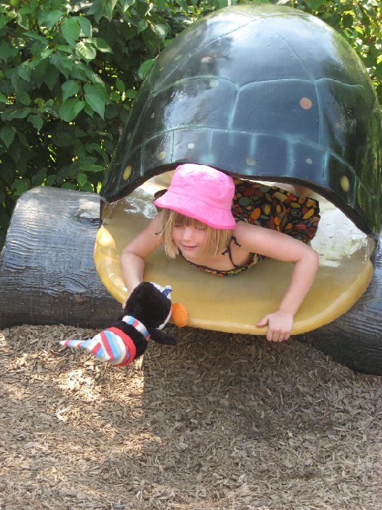 IMG 2412