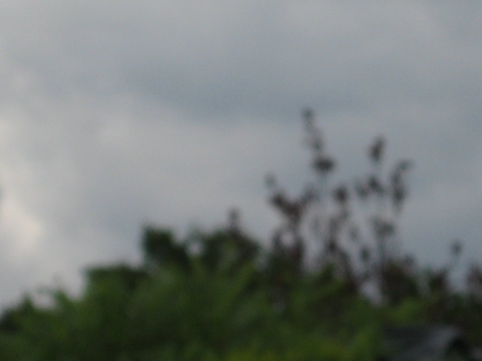 IMG 2430