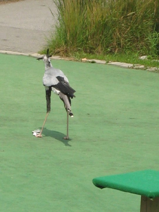 IMG 2437