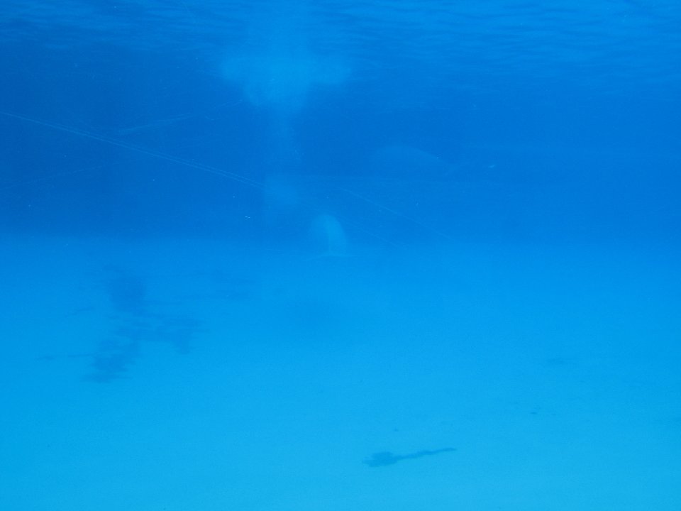 IMG 2543