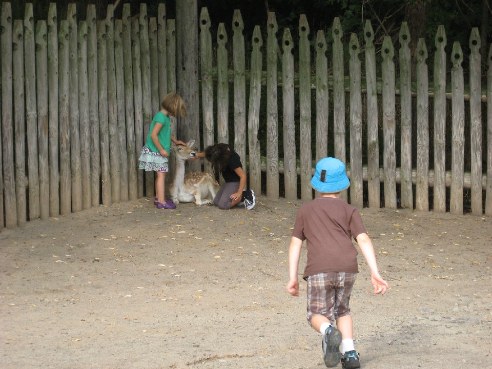 IMG 2551