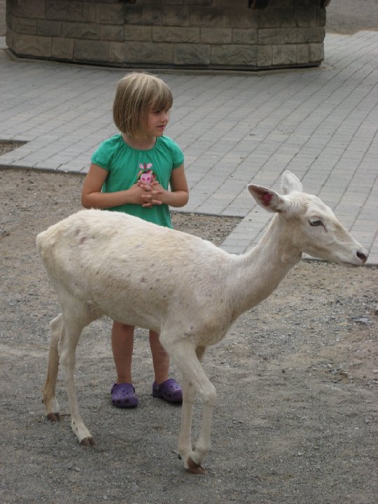 IMG 2555