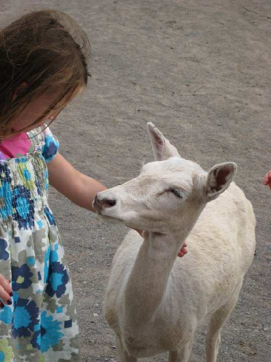 IMG 2557