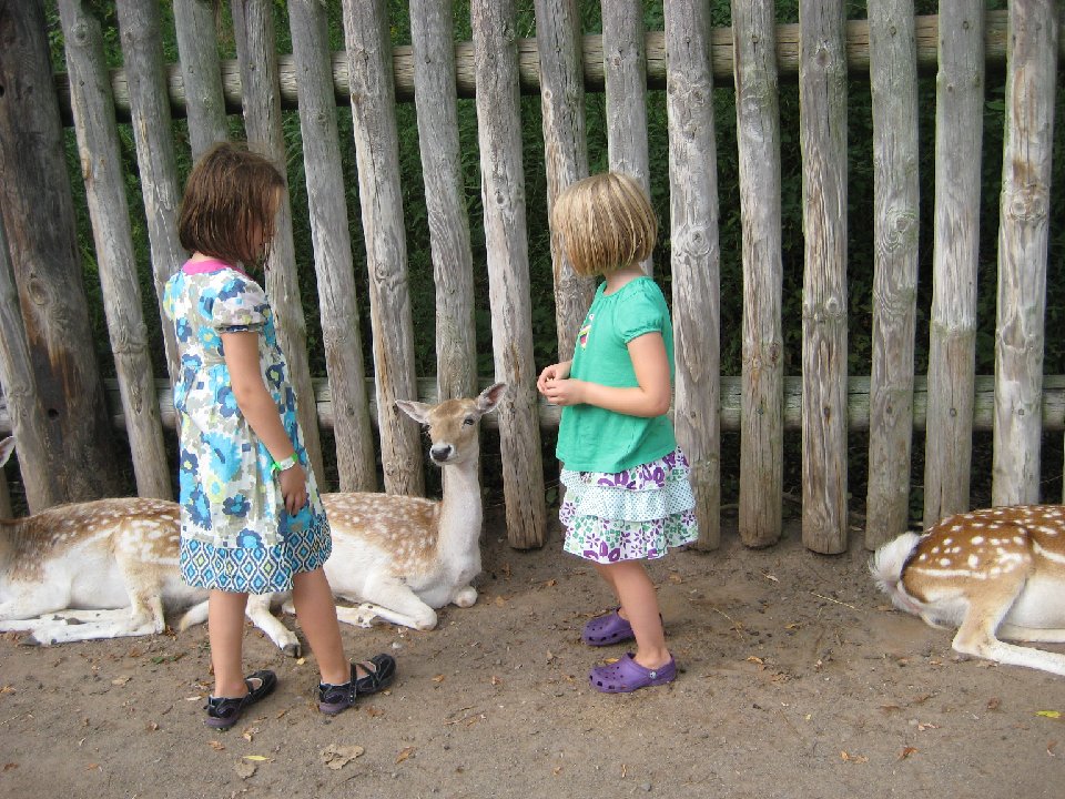 IMG 2584