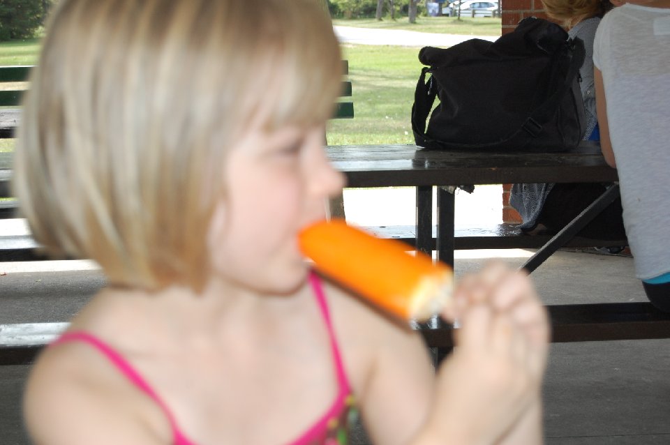 DSC 0049