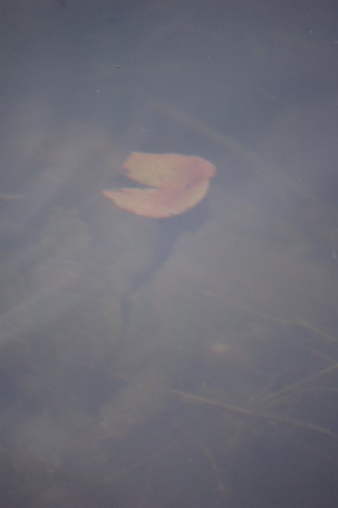 DSC 0121