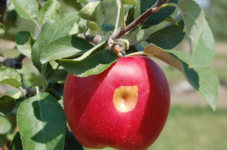 DSC 0202