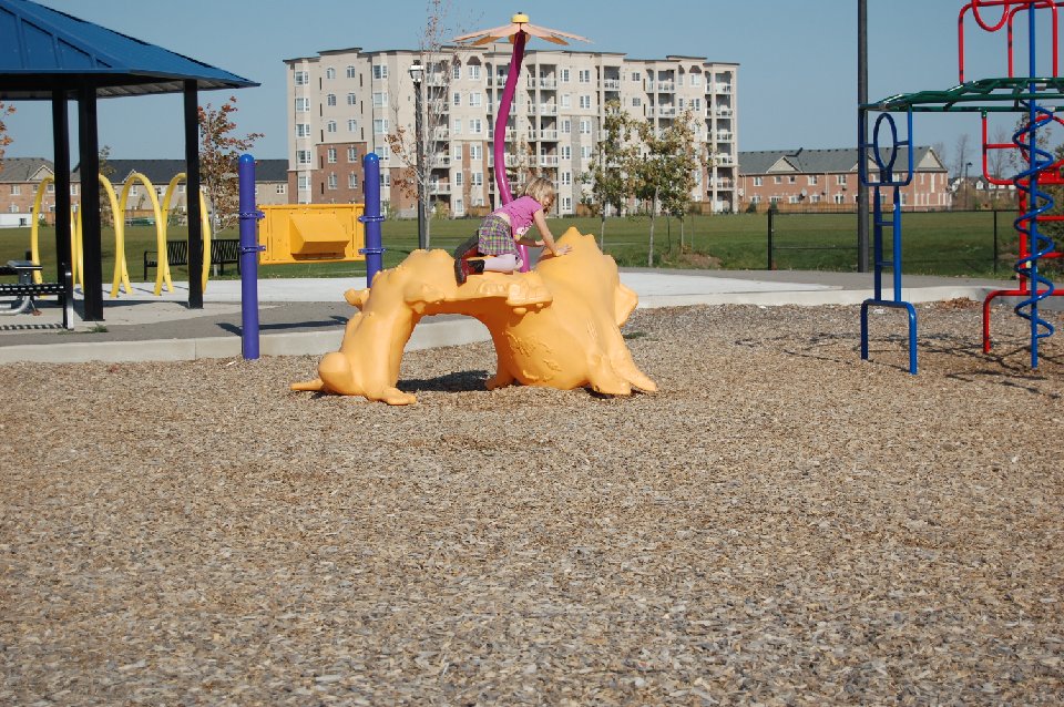 DSC 0424