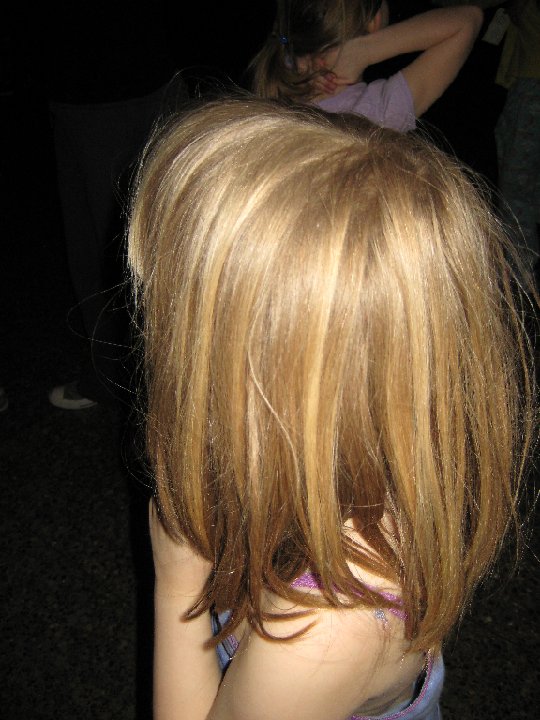 IMG 2732
