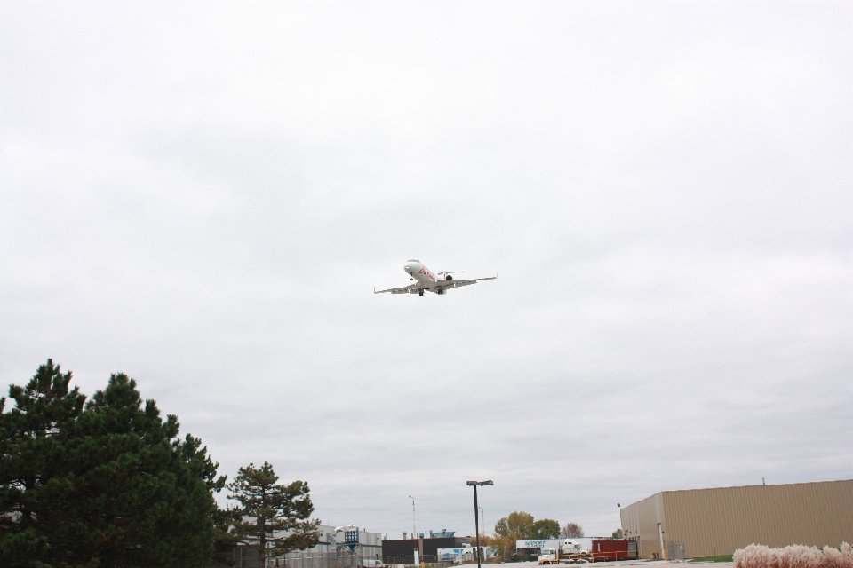 IMG 0357